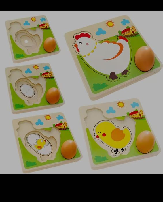 Kura i jej etapy 3d puzzle