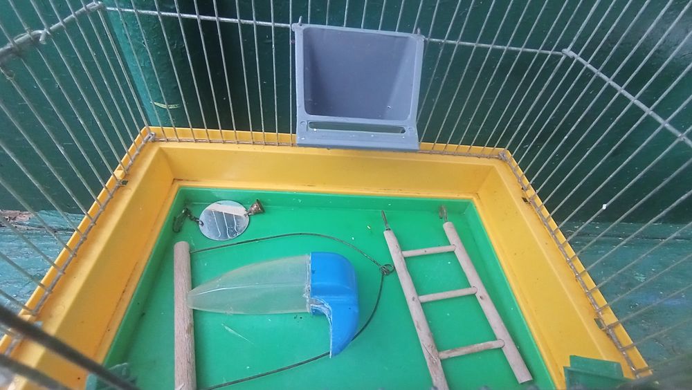 клітка для папуги