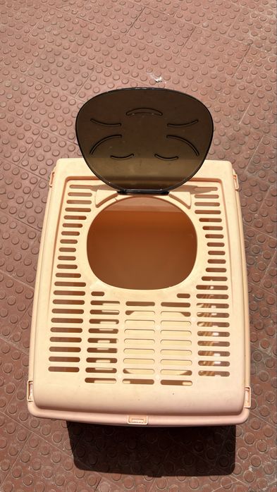 Caixa de areia para gatos