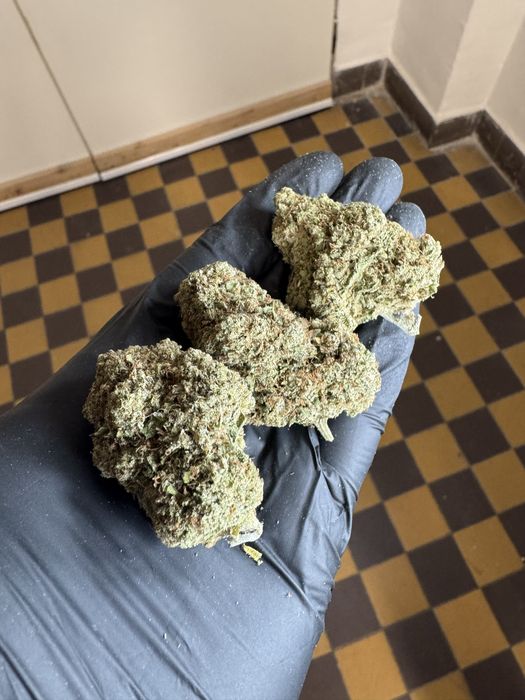 Susz CBD indoor Lava Cake 1kg