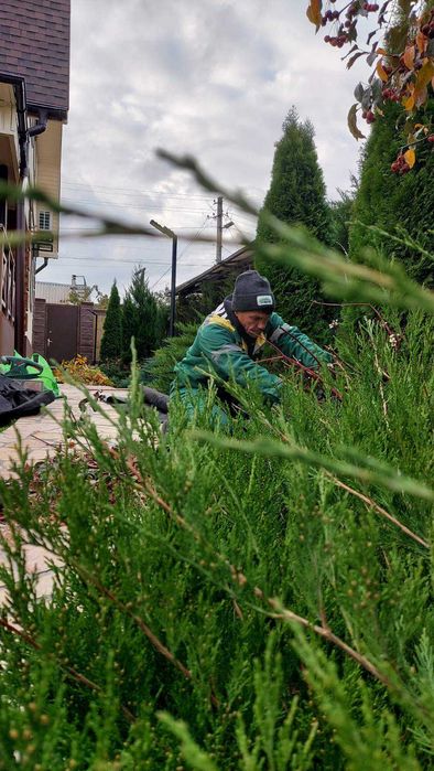 Обрізка саду, формування дерев, Обробка від хвороб