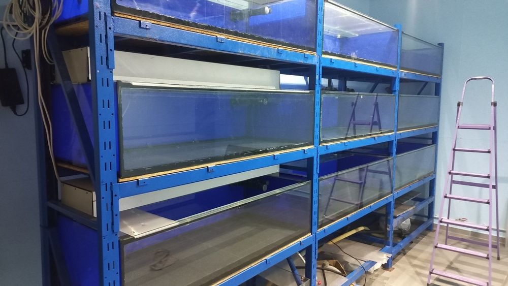 Продам аквариумы 9 шт 140*60*40