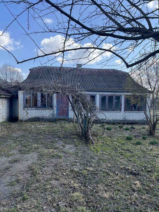 Продається будинок  с.Рихальське