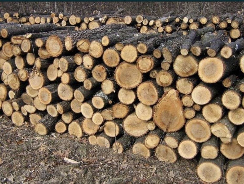 Дрова бук, дуб, граб, береза колоті з доставкою