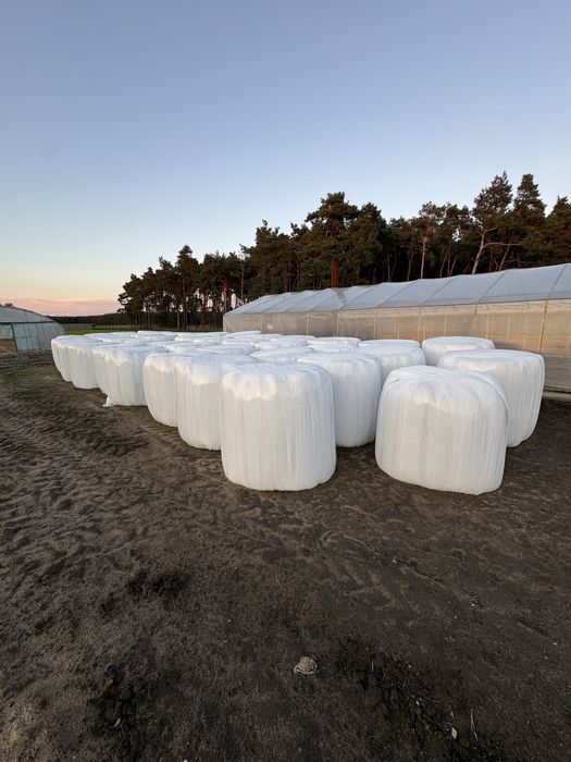 Baloty sianokiszonki