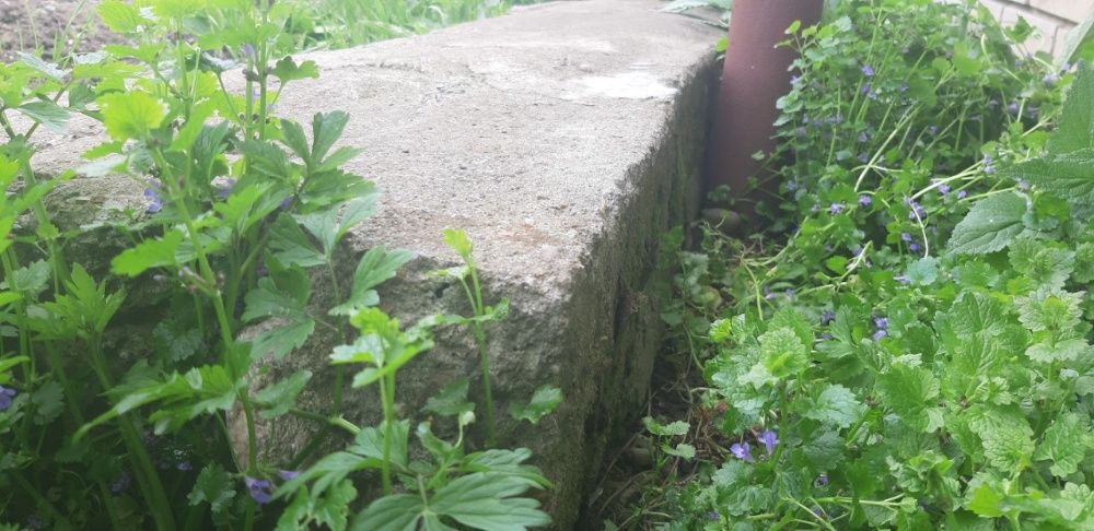 Бордюр Бетонний.