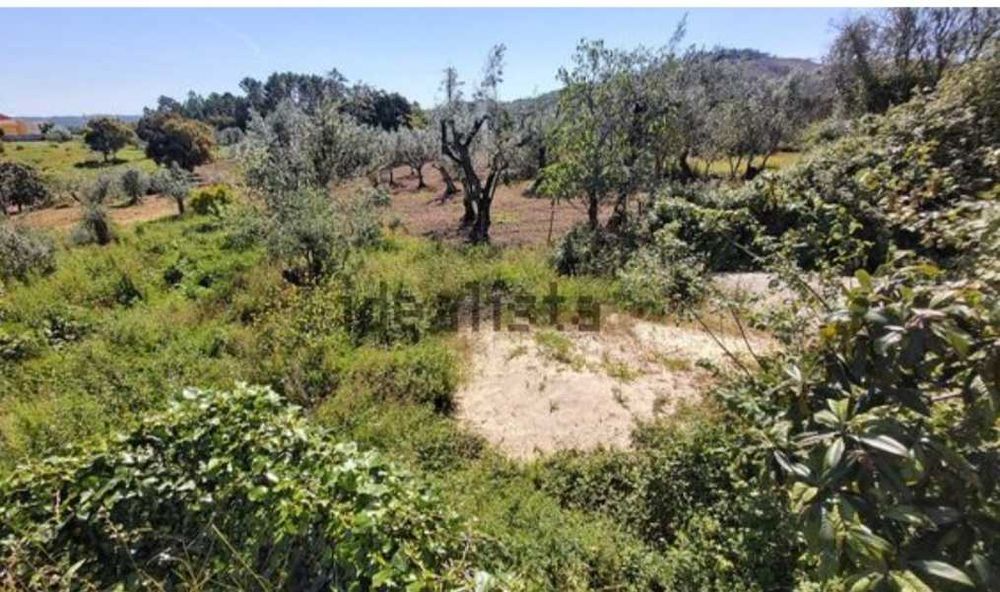 Moradia vende-se perto de Vila de Rei