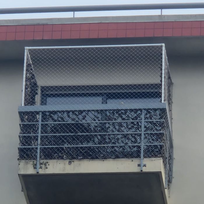 Rede de Proteção para Gatos