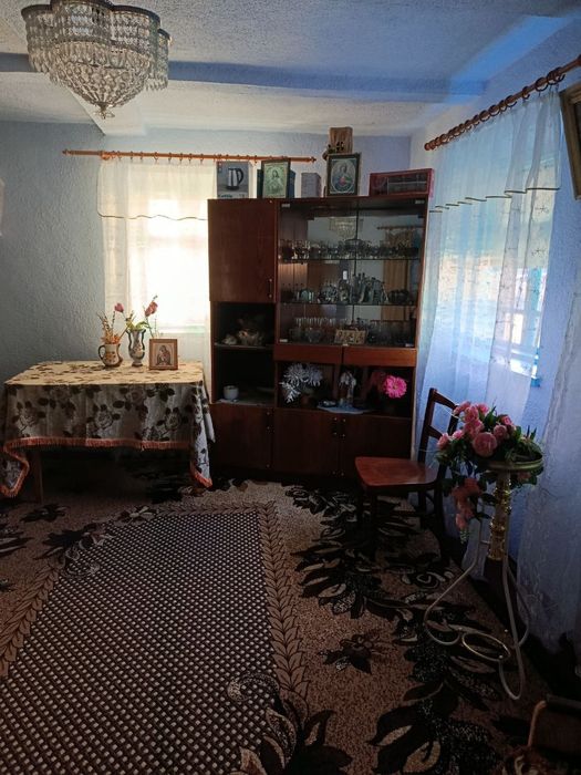 Продам 2 будинки + земельна діляка, Вінницька обл., с. Козлів