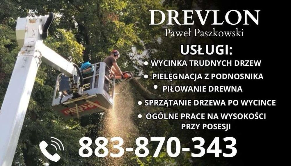 Wycinka drzew, pielęgnacja