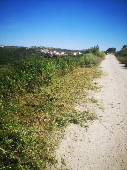Limpeza de terrenos