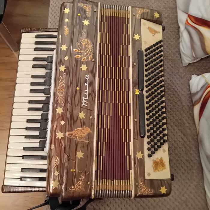 Akordeon Muza 120 basów i gitara elektryczna + wzmacniacz