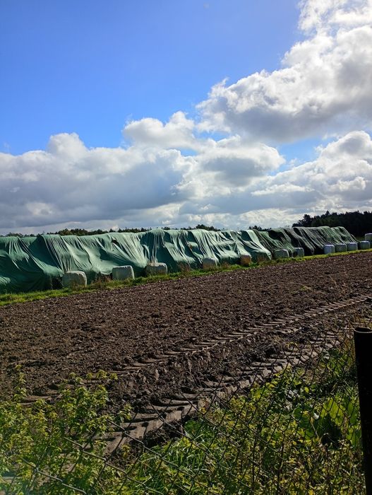 Sprzedam  słomę 125