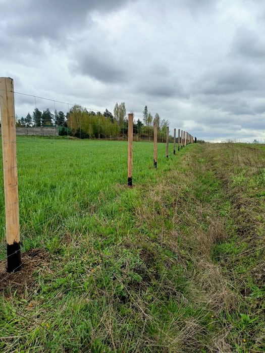 Ogrodzenie Tymczasowe Ogrodzenie Leśne Ogrodzenie Budowlane