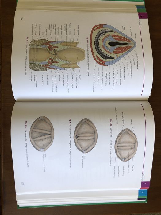 Atlas de Anatomia
