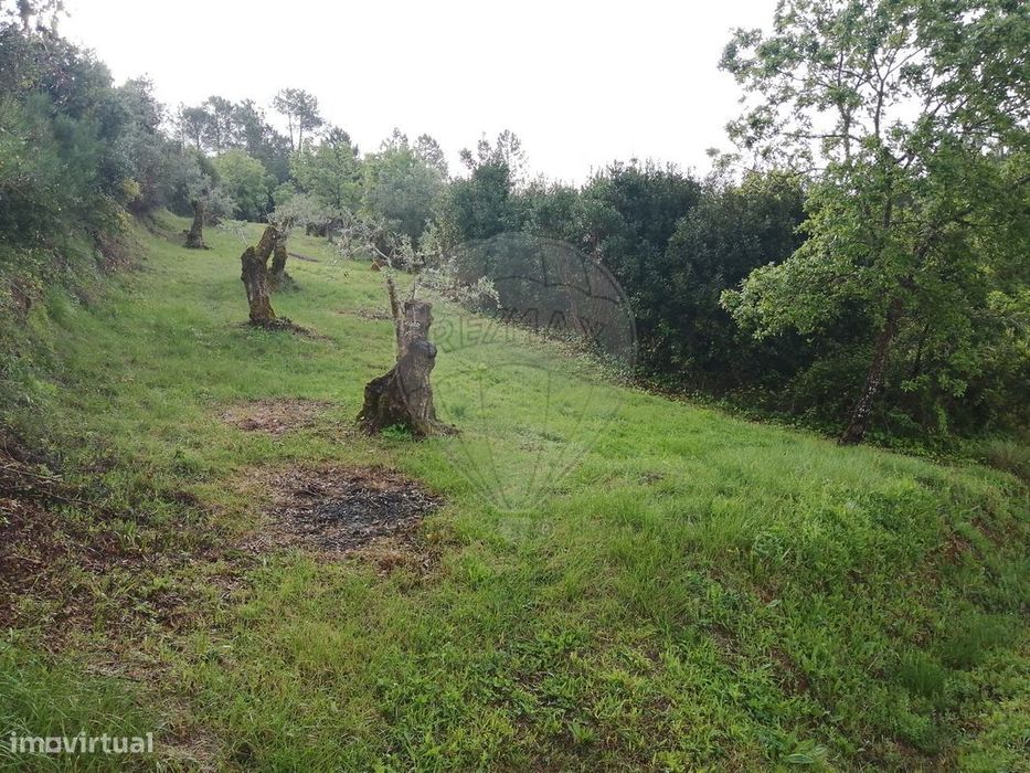 Terreno  para venda — Vila Cã, Leiria
