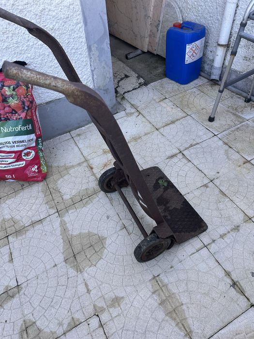 Carrinho de ferro de carga
