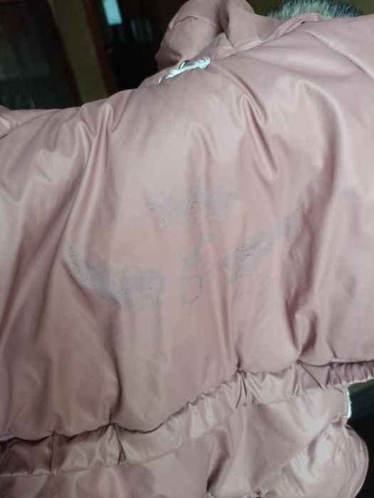 2 костюма на собаку мини или xs и одежда на зиму  зима