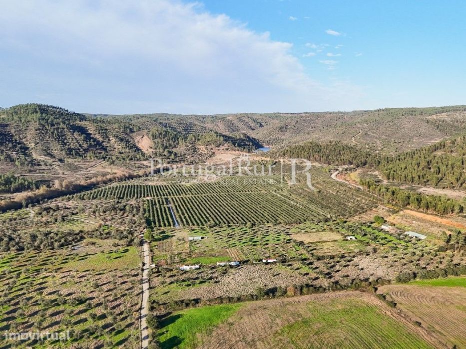 Herdade de regadio com 160 ha em Vila Velha de Ródão