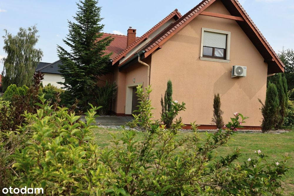 House in Legnica - View 4
