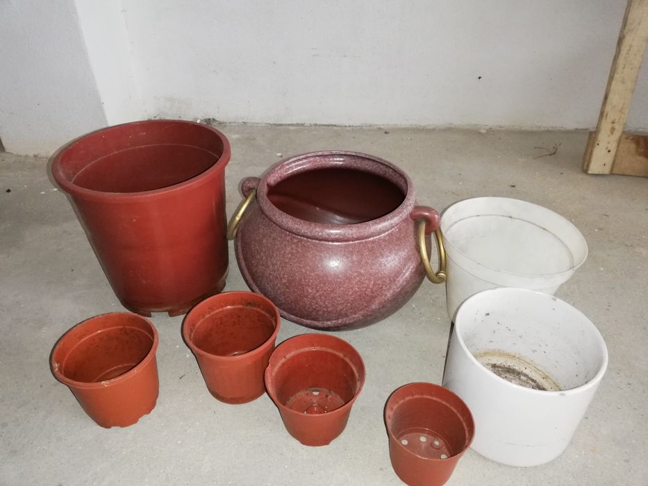 Conjunto de 8 vasos