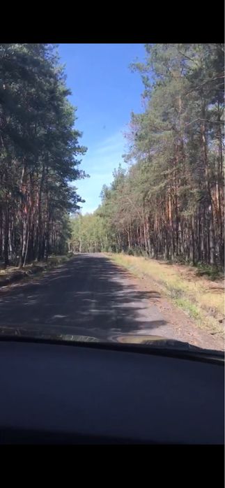 Działka 1,81 ha | Olszynki, gm. Młodzieszyn, pow. sochaczewski Warunki zabudowy | las | cisza | SLOW LIFE - Widok 4