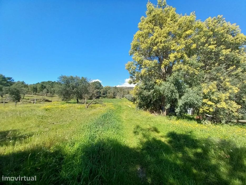Quinta com 24750m2 Louriçal do campo