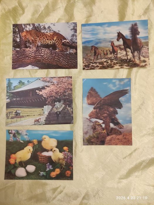 Stare pocztówki 3D seria przyroda