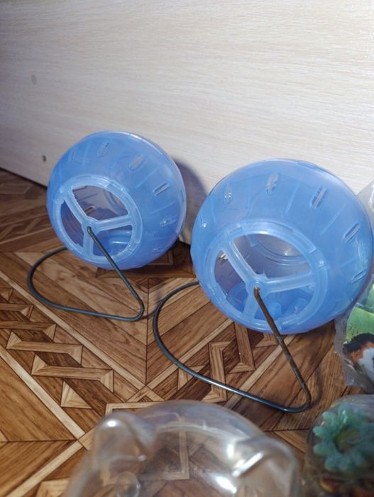 Продам всё для хомячка