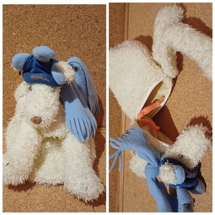 Saco /mochila peluche cão.
Em bom estado.