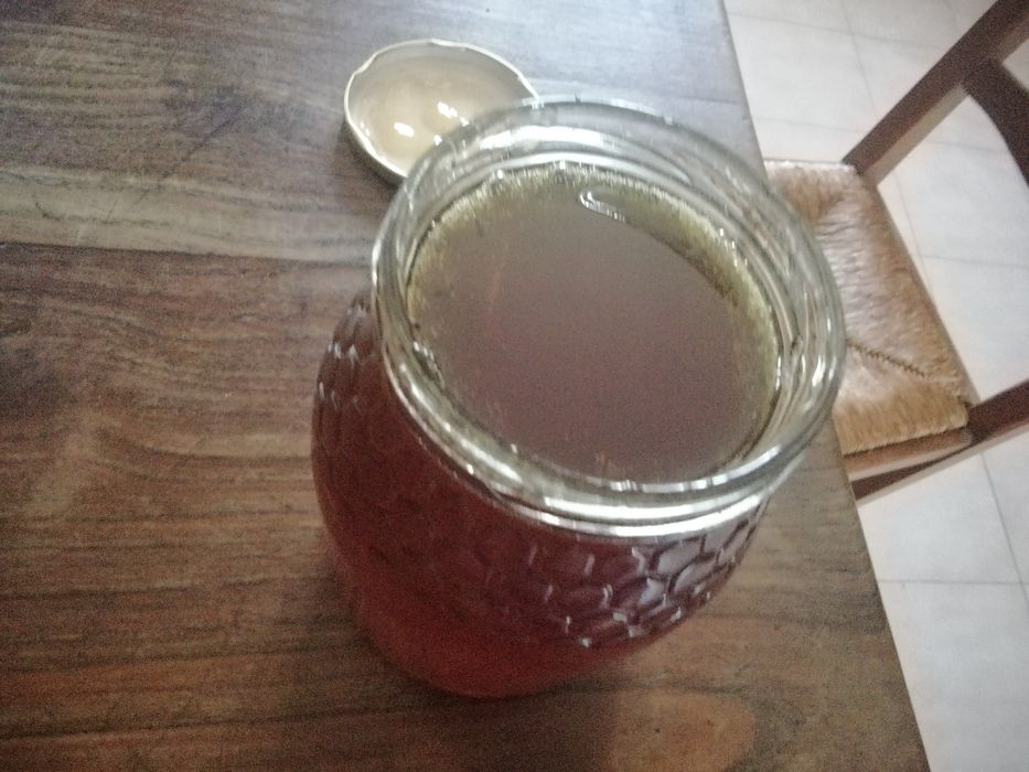 Mel multiflora de 2025