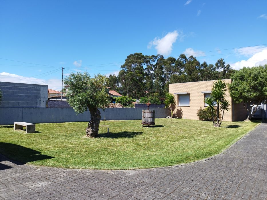 Jardinagem e Manutenção de Jardim