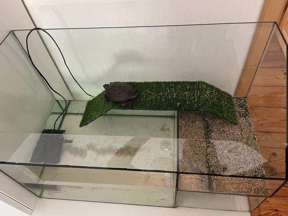 Акваріум тераріум для черепахи