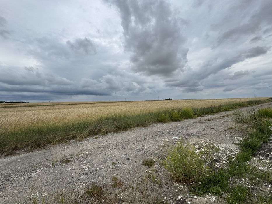 Działka widokowa w Białowoli - Widok 2