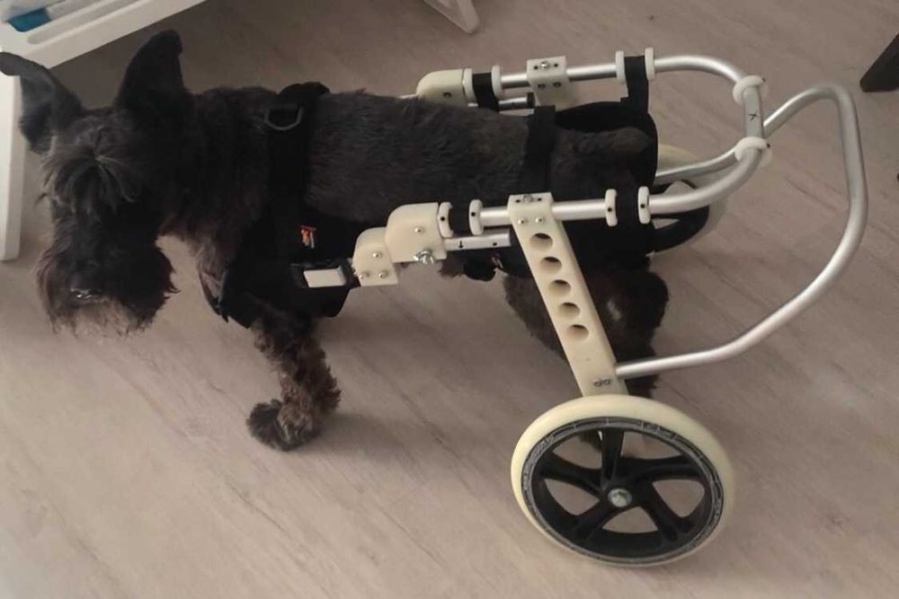 Инвалидная коляска для собак