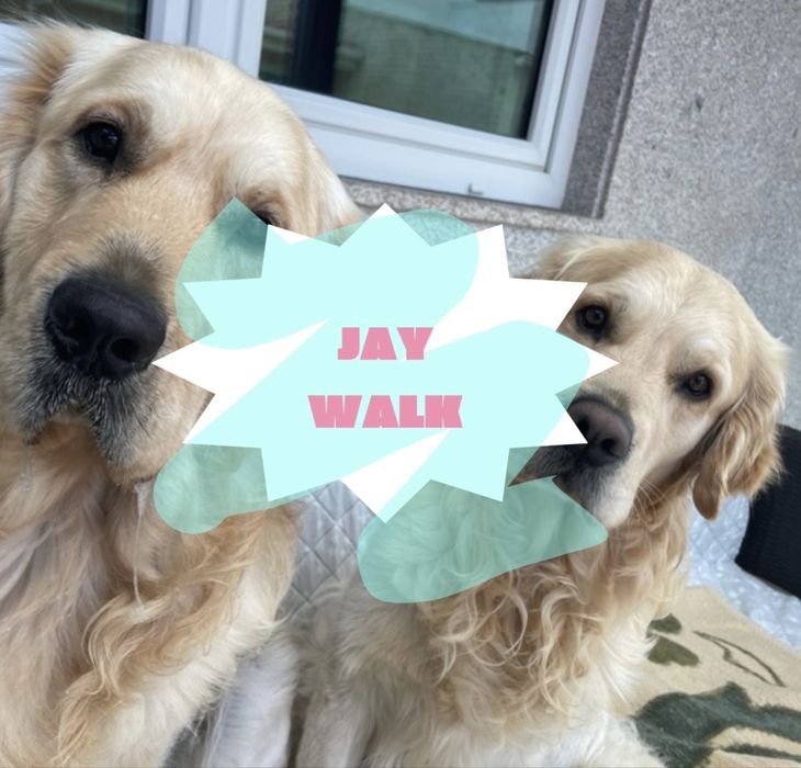 Passear e cuidar dos pets
