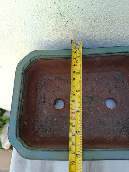Vaso Bonsai Verde