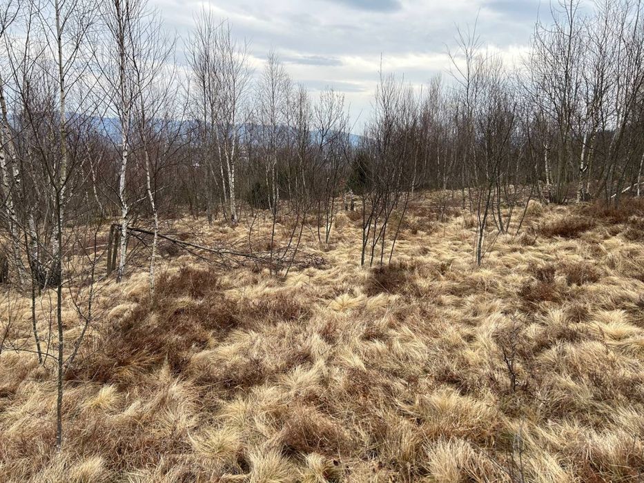 Земельна ділянка Карпати