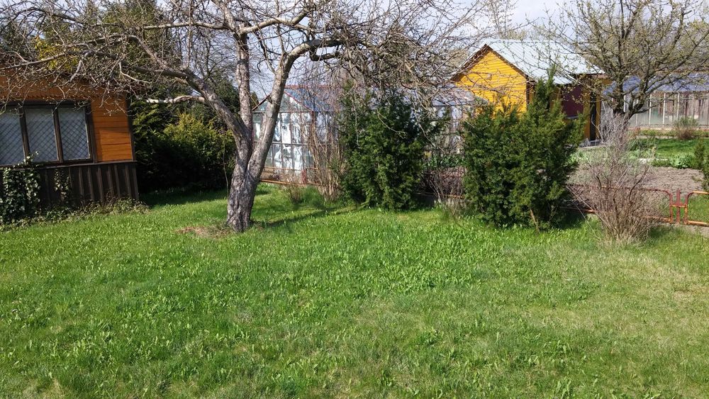 Działka ROD Mickiewicza 300m2 , Ogródek działkowy sprzedam