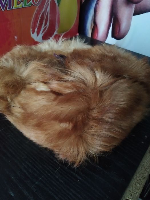 Шапка 4 шт разные.