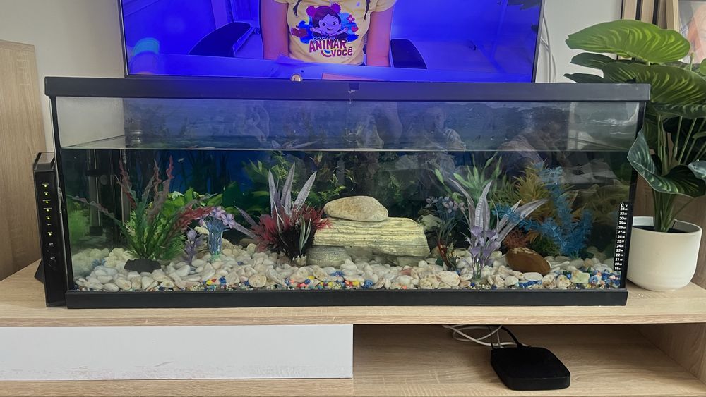 Aquario para peixes