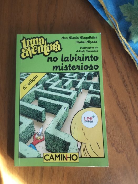 Livro " Uma aventura no labirinto misterioso"