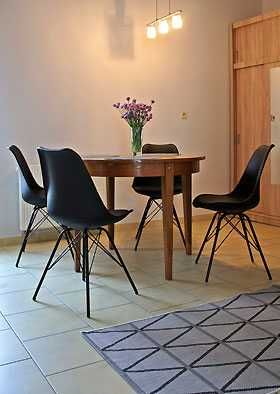 Apartament  - STUDIO  Noclegi -Wilkasy- 250 m plaża