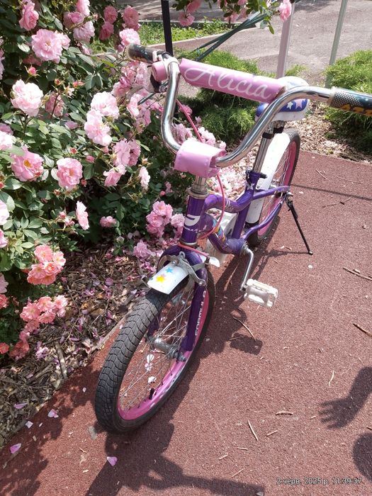 Велосипед двоколісний дитячий