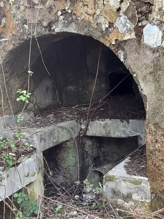 Terreno Ruina nos Açores