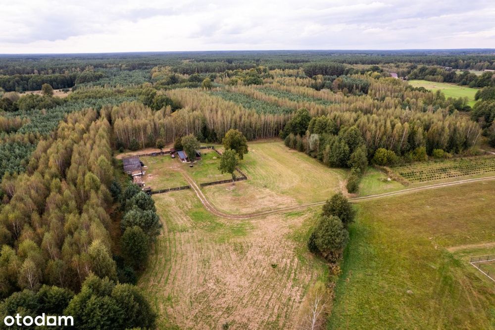 Siedlisko w m. Boruja Nowa