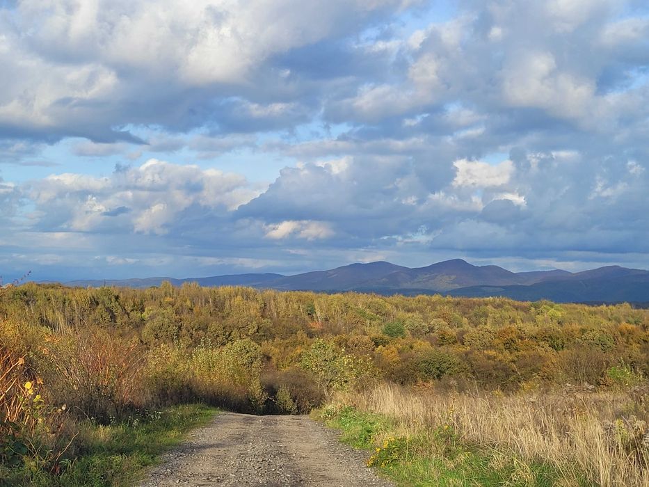 Земельна ділянка