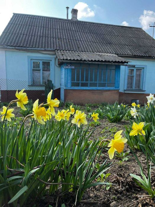 Будинок цегляний газифікований в селі Бабин , 20 км     28 000