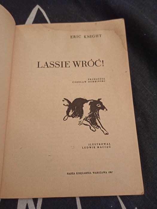Knight Lessie wróć
