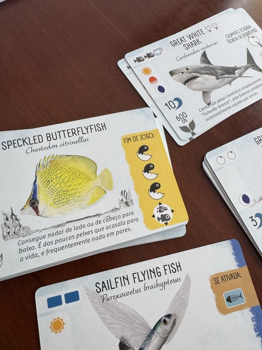 Finspan (PT) - Jogo de Tabuleiro